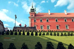 野生海参多少钱一斤?与养殖海参价格区别在哪?