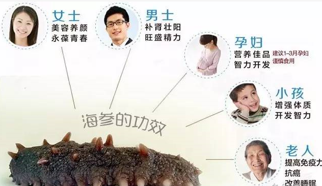 秋冬进补吃海参 (2).png