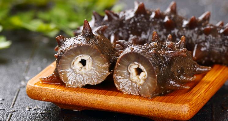 海参有沙子处理方法 (2).jpg