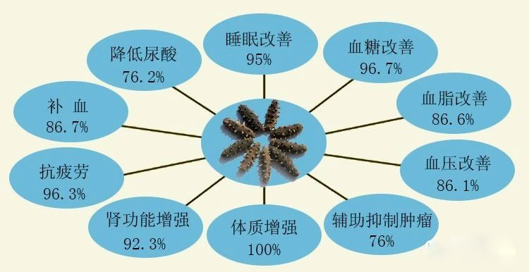 海参不同吃法不同功效，你了解了么？