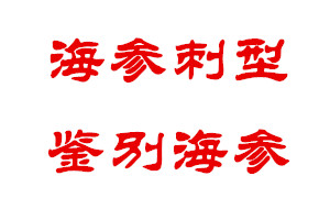 深度揭秘：海参每一个阶段的刺型侧面判断海参品质好坏（精华篇）