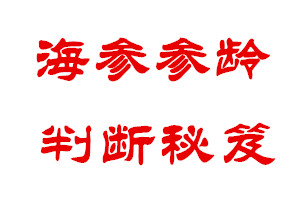 海参参龄判断技巧，百试不爽！