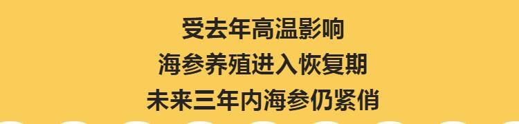 海参涨价，海参养殖处于休整期