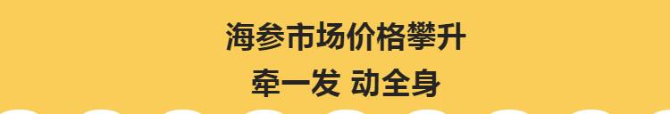 海参价格市场飙升