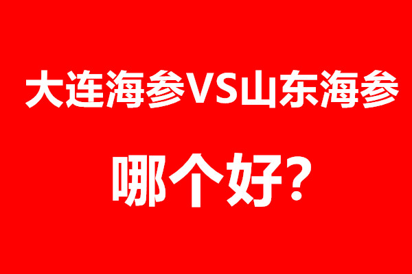 大连海参好还是山东海参好，发货地到底骗了多少人？