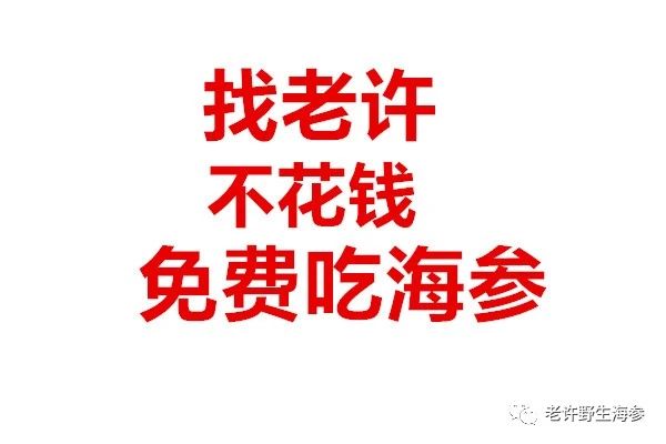 2020年海参可以这么买，让老许做你身边的专业海参买手，超级超级省钱！